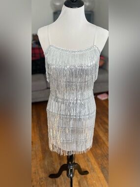 Silver Sequin Fringe Mini Dress